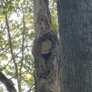 Meet your Posher, Evan